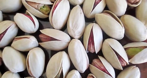 قیمت پسته صادراتی + خرید باور نکردنی
